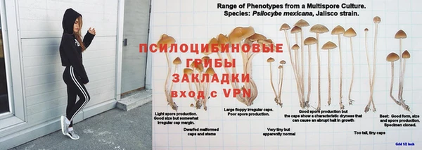 ГАЛЛЮЦИНОГЕННЫЕ ГРИБЫ Каменногорск