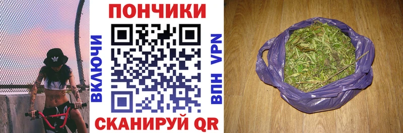 Купить закладки  Котлас  Бошки Шишки ГИДРОПОН 